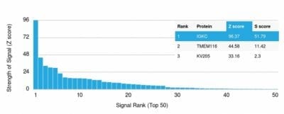 Human Kappa Light Chain Recombinant Monoclonal Mouse Antibody (rL1C1)