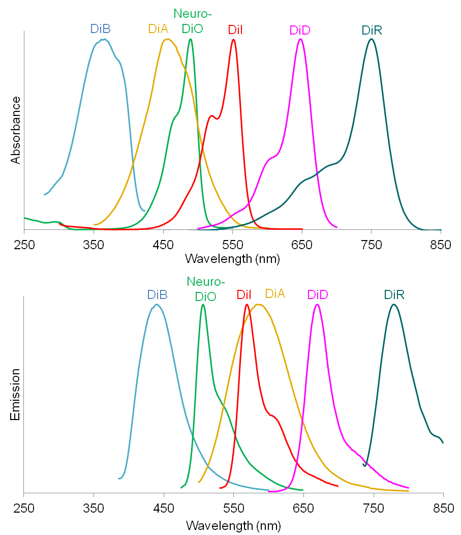 DiOC14(3), Hydroxyethanesulfonate