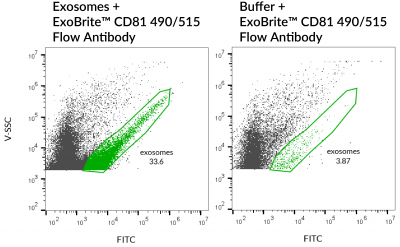 ExoBrite™ CD81 Flow Antibody
