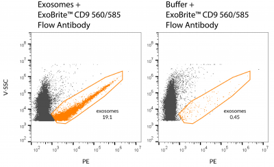 ExoBrite™ CD9 Flow Antibody