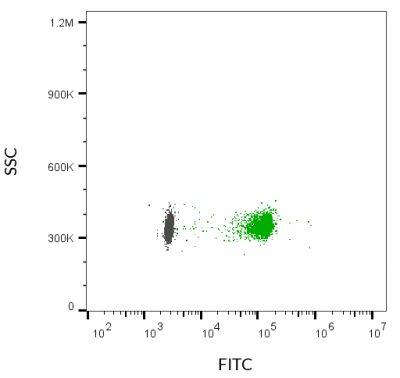 ExoBrite™ IgG1 Isotype Control Flow Antibody