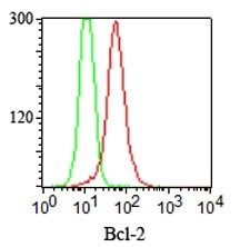 Bcl-2 Monoclonal Mouse Antibody (124)