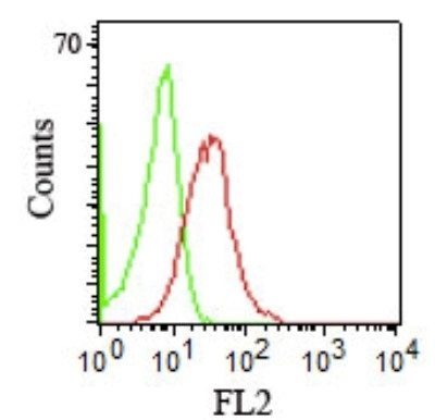 CD1b Monoclonal Mouse Antibody (RIV12)