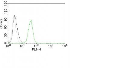 CD31 / PECAM-1 Monoclonal Mouse Antibody (C31.10)