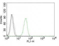 CD31 / PECAM-1 Monoclonal Mouse Antibody (C31.3)
