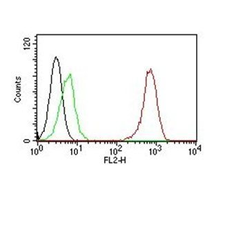 CD31 / PECAM-1 Monoclonal Mouse Antibody (C31.7)