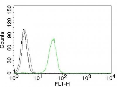 CD31 / PECAM-1 Monoclonal Mouse Antibody (JC/70A)
