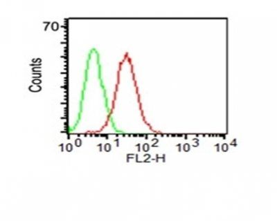 CD34 Monoclonal Mouse Antibody (HPCA1/1171)