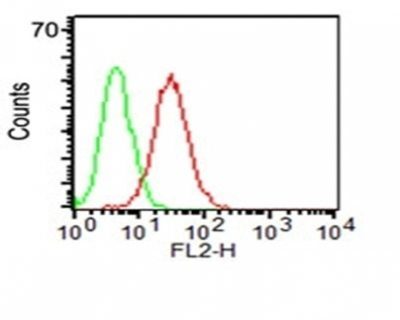 CD34 Monoclonal Mouse Antibody (ICO-115)