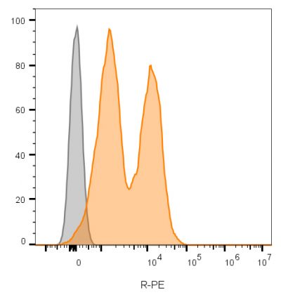 CD56 / NCAM Monoclonal Mouse Antibody (123C3.D5 + 123A8)