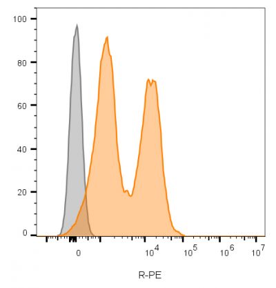 CD56 / NCAM Monoclonal Mouse Antibody (123C3.D5)