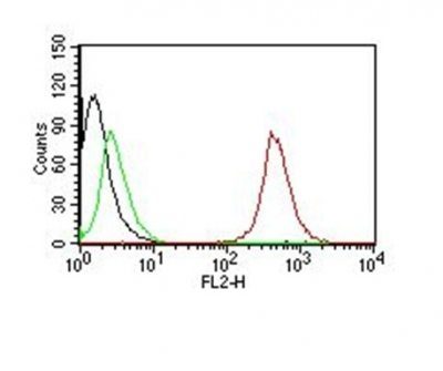 CD63 Monoclonal Mouse Antibody (NKI-C3)