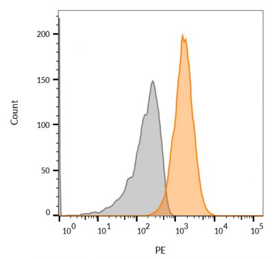 CD63 Monoclonal Mouse Antibody (NKI-C3)
