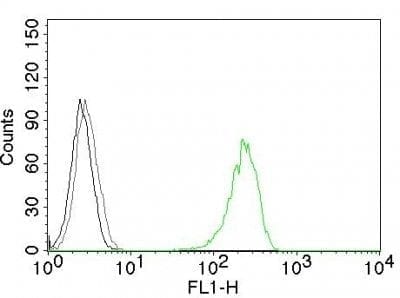 CD71 / Transferrin Receptor Monoclonal Mouse Antibody (66IG10)