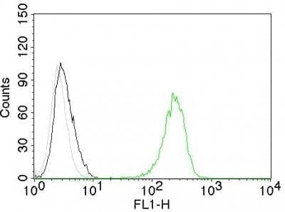 CD71 / Transferrin Receptor Monoclonal Mouse Antibody (TFRC/1059)