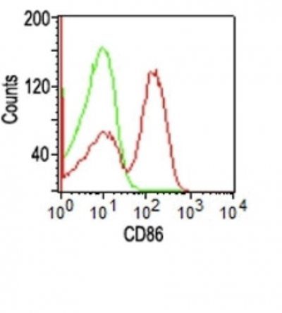 CD86 Monoclonal Mouse Antibody (C86/1146)