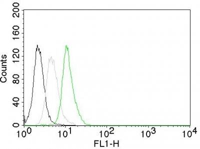 Cyclin D1 Monoclonal Mouse Antibody (CCND1/809)