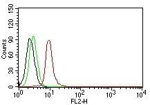 Cyclin D1 Monoclonal Mouse Antibody (DCS-6)