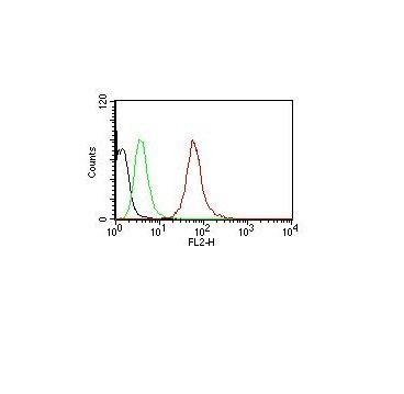 Cytokeratin, Pan Monoclonal Mouse Antibody (AE-1 + / + AE-3)