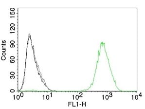 EGFR Monoclonal Mouse Antibody (GFR450)