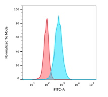 Endoglin / CD105 Monoclonal Mouse Antibody (ENG/1621)