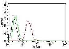 Estrogen Receptor Beta 1 Monoclonal Mouse Antibody (ERb455)