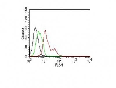 Estrogen Receptor Monoclonal Mouse Antibody (ER506)