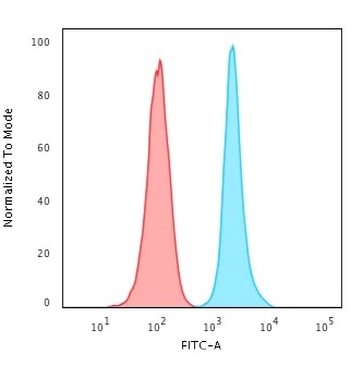 Ki-67 Monoclonal Mouse Antibody (MKI67/2462)