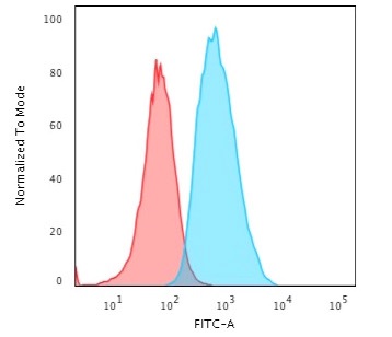 S100A4 Monoclonal Mouse Antibody (S100A4/1481)