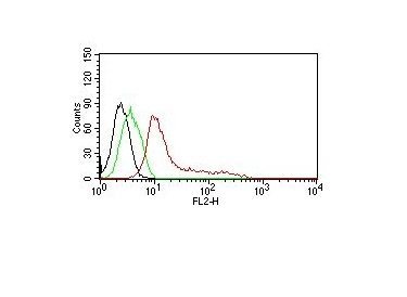 Human Nuclear Antigen Monoclonal Mouse Antibody (235-1)