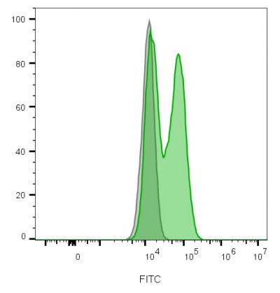 CD56 / NCAM Recombinant Monoclonal Rabbit Antibody (NCAM1/2217R)