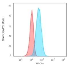 GFAP Monoclonal Mouse Antibody (GA-5)