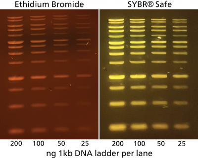 Gel-Bright™ Laser Diode Gel Illuminator