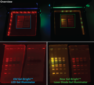Gel-Bright™ Laser Diode Gel Illuminator
