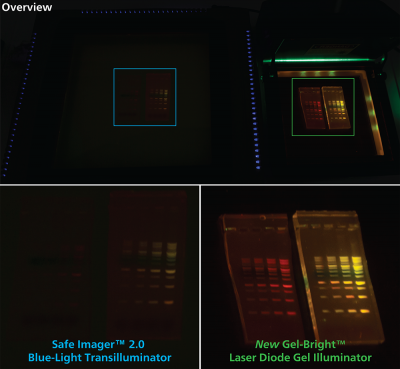 Gel-Bright™ Laser Diode Gel Illuminator