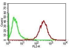 Adipophilin / Perilipin-2 Monoclonal Mouse Antibody (ADFP/1365)