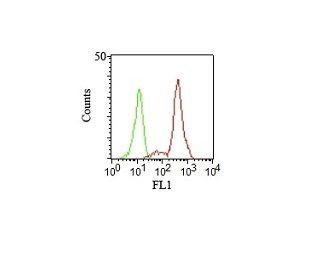 CD11c Monoclonal Mouse Antibody (HC1/1)