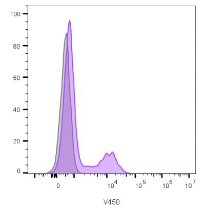 CD16 / Fc Gamma Receptor III Monoclonal Mouse Antibody (C16/1045)