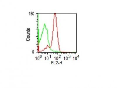 CD43 Monoclonal Mouse Antibody (DF-T1)