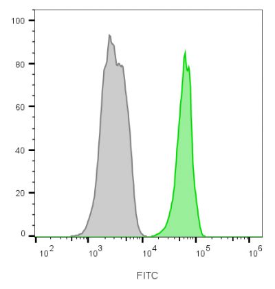 CD45 / LCA Monoclonal Mouse Antibody (135-4C5)