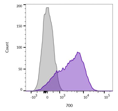 CD45 / LCA Monoclonal Mouse Antibody (136-4B5)