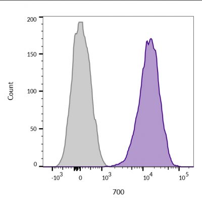 CD45 / LCA Monoclonal Mouse Antibody (2B11 + PD7/26)