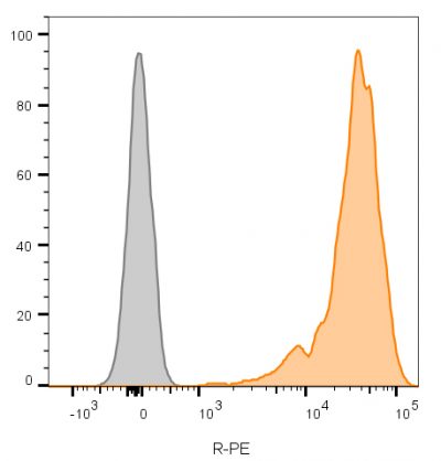 CD45 / LCA Monoclonal Mouse Antibody (2B11)
