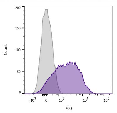 CD45 / LCA Monoclonal Mouse Antibody (2B11)