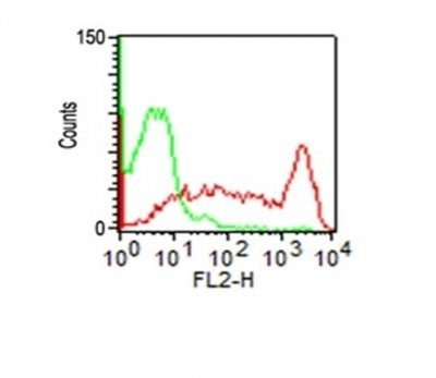 CD45RO Monoclonal Mouse Antibody (UCHL-1 + T200/797)