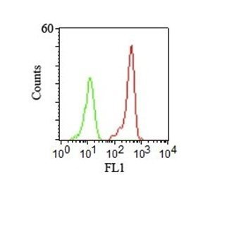 CD46 Monoclonal Mouse Antibody (122.2)