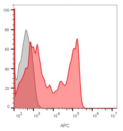 CD8 Monoclonal Mouse Antibody (C8/1035)