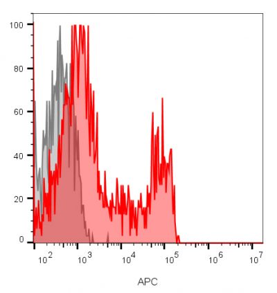 CD8 Monoclonal Mouse Antibody (RIV11)