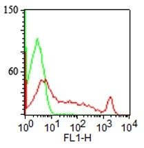 CDw75 Monoclonal Mouse Antibody (LN-1)
