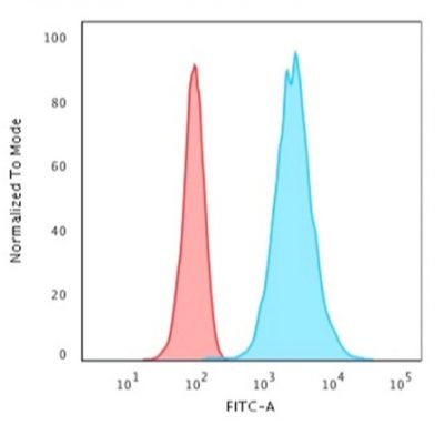 Cytokeratin 18 Recombinant Monoclonal Rabbit Antibody (KRT18/2808R)